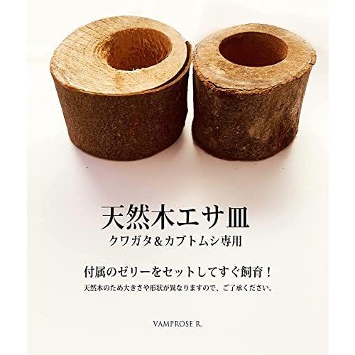 カブトムシ＆クワガタ 飼育セット 【 ☆クワガタ カブトムシ 飼育