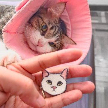 彩虹衬衫 Neko Pin (Shiro) — 手工刺绣胸针