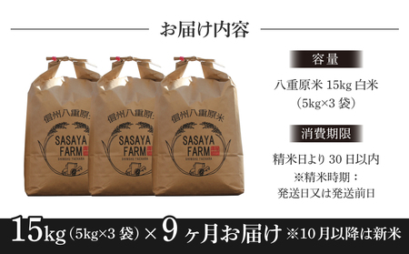 八重原米15kg（5kg×3袋）白米