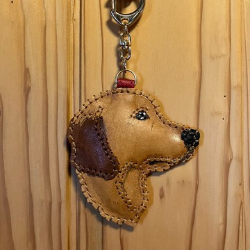 側顏黃金獵犬先生