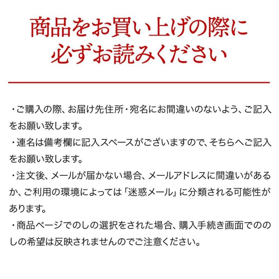 肉 ちゃんぽん麺 ギフト 150g 冷凍便 牛肉 プレゼント 御祝 お歳暮 贈答 誕生日 お祝い 内祝い