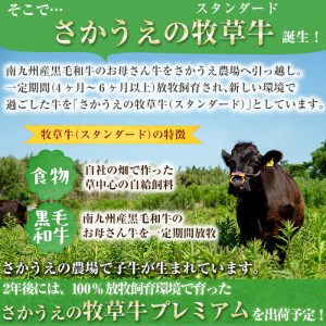 a5-156 牧草育ちの里山牛 センマイ・ホルモンミックス計1kg