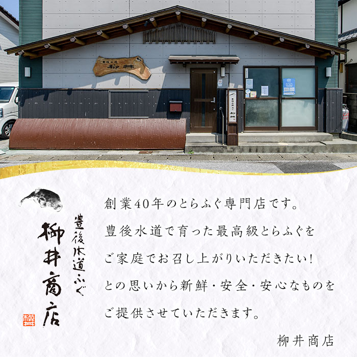 ＜訳あり・業務用＞乾燥 ふぐひれ (約100g・80枚以上) とらふぐ ふぐ フグ ひれ ヒレ 河豚 ひれ酒 養殖 業務用 国産 大分県 佐伯市