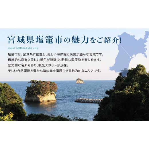 ふるさと納税 宮城県 塩竈市  塩竈の藻塩仕込　辛子明太子　300g　