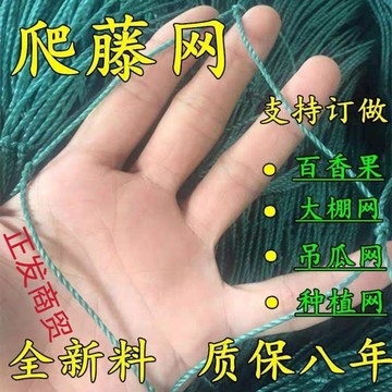 2021新款爬藤網豆角園藝植物瓜果花卉藤蔓百香果瓜果網葡萄網搭架