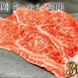 サーロイン焼肉 約300g