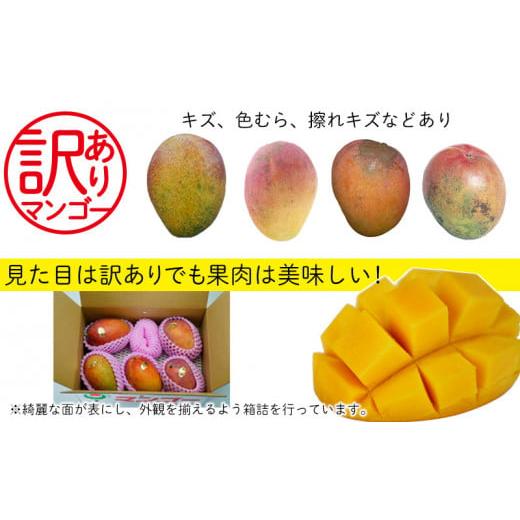 ふるさと納税 沖縄県 北中城村 訳あり品！沖縄県北中城村　完熟マンゴー約1.5Kg×2箱沖縄 果物 訳あり フルーツ くだもの 数量限定…