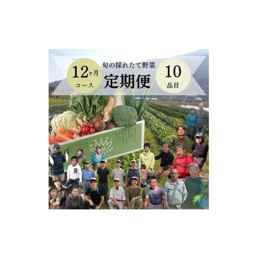 ふるさと納税 高知県 香美市 「定期便」野菜詰め合わせセット12ヵ月