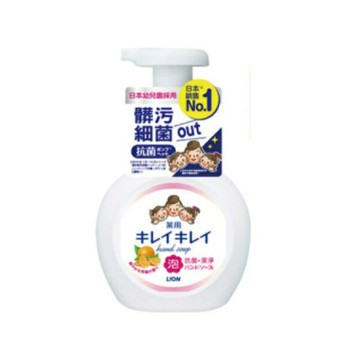 日本獅王 趣淨洗手慕斯-清爽柑橘 (250ml/瓶)【杏一】