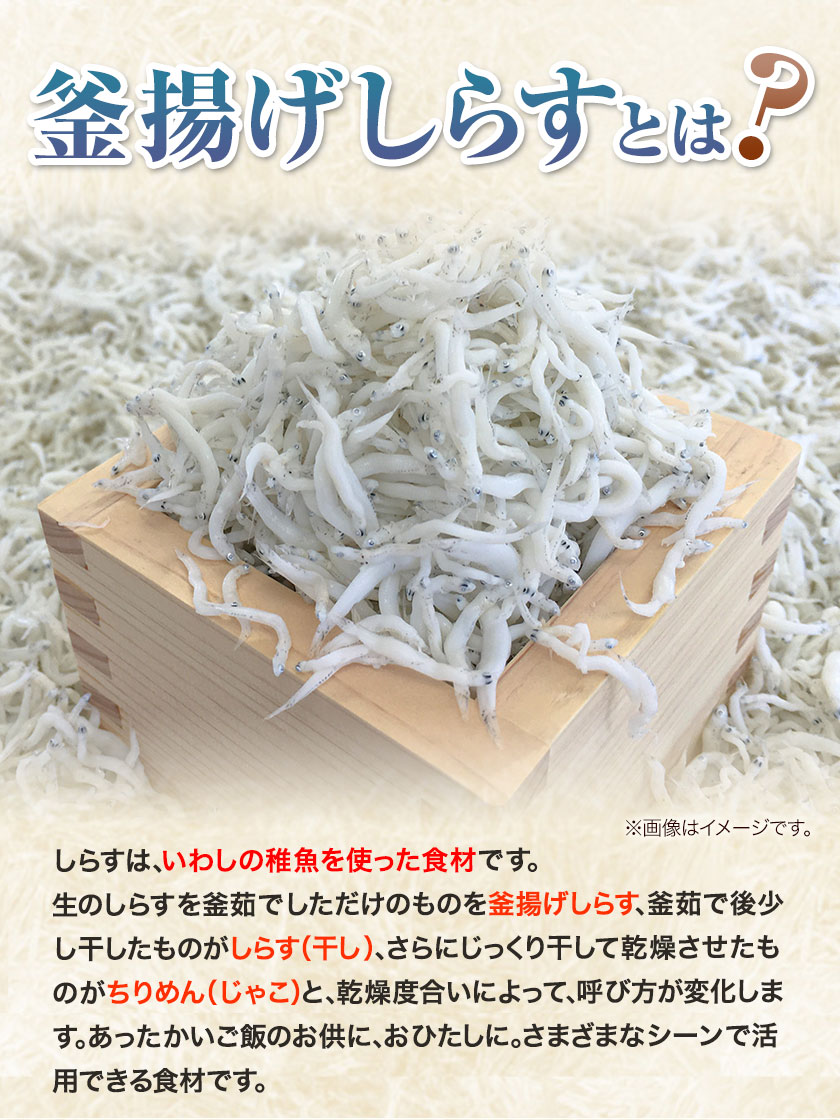 釜揚げしらす900g（木箱) 大五水産 《30日以内に順次出荷(土日祝除く)》 和歌山県 紀の川市 しらす 釜揚げしらす