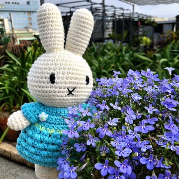 荷蘭 Just Dutch | Miffy 米飛兔 和她的新款梵谷杏花洋裝