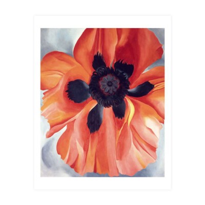 Georgia Ｏ'Keeffe 「RED POPPY１９２７」ジョージア・オキーフ アート