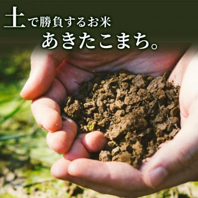 ふるさと納税 にかほ市 5kg×12回 秋田県産 あきたこまち 土づくり実証米[No.5685-2050]