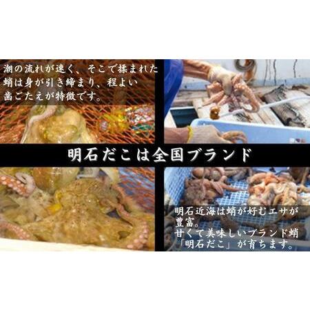 ふるさと納税 明石だこのやわらか煮 Mサイズ 兵庫県明石市