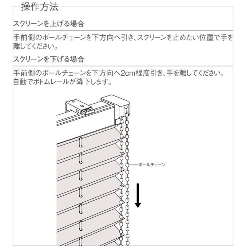 プリーツスクリーン トーソー シングルスタイル TOSO しおり25