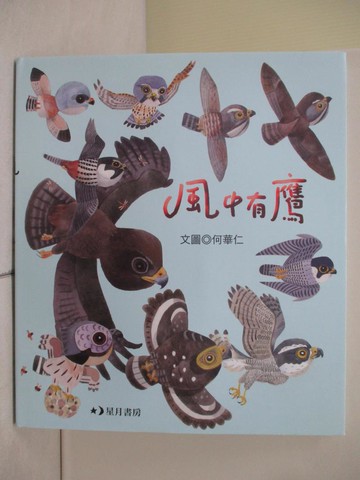 【書寶二手書T9／少年童書_ZRN】風中有鷹_何華仁