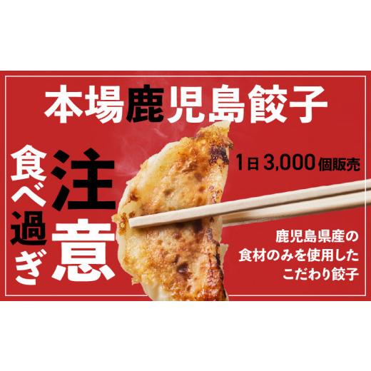 ふるさと納税 鹿児島県 鹿児島市 鹿児島人気餃子店のお得な餃子食べ比べセット　K118-001