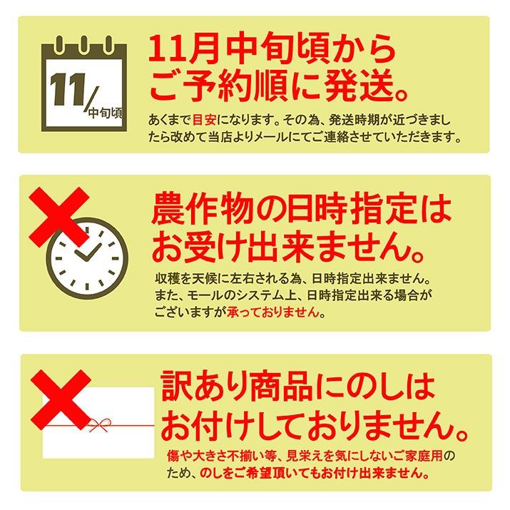 ラフランス 訳あり 2kg 送料無料 ラ・フランス 洋梨 洋ナシ 山形県産 産地直送 お徳用 ご家庭用 自家用 遠方送料加算