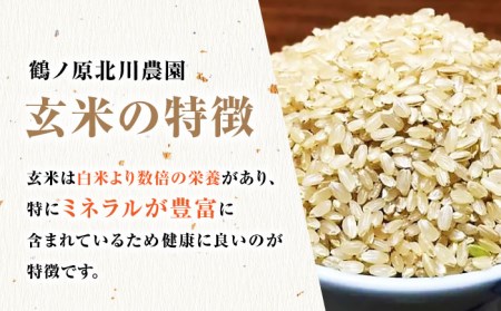 栽培期間中農薬不使用 令和5年産 新米 山田錦 玄米 5kg 武雄市 鶴ノ原北川農園[UDL005]