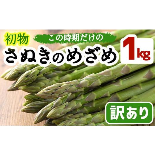 ふるさと納税 香川県 まんのう町 ＜先行予約！2024年2月以降順次発送予定＞＜訳あり＞初物！アスパラガス さぬきのめざめ (約1kg)北海道・沖縄・離島への配送…