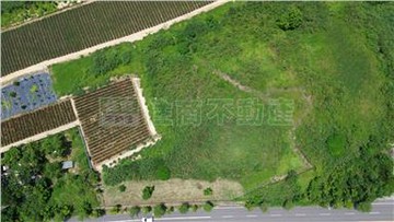 近保西國小正20米路農地｜台南市關廟區下湖