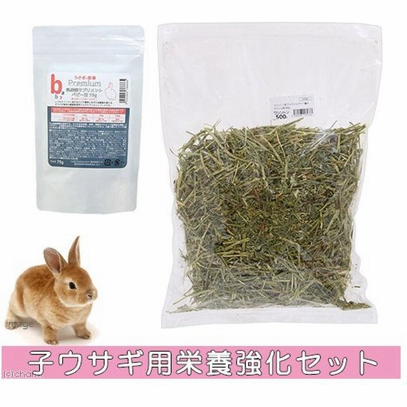ワシントン産アルファルファ１番刈 チャック袋５００ｇ 乳酸菌サプリ７５ｇ ベビー用 子ウサギ栄養強化セット 通販 Lineポイント最大0 5 Get Lineショッピング