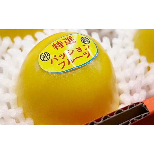 ふるさと納税 沖縄県 南風原町 特選　黄色のパッションフルーツ　1.2kg以上　12玉