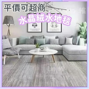 🔥【台中出貨】✨地墊地毯 4mm水晶绒  客廳地毯 奶油風 沙發地毯 茶幾墊 飄窗毯 臥室地墊 水晶絨無毛地毯