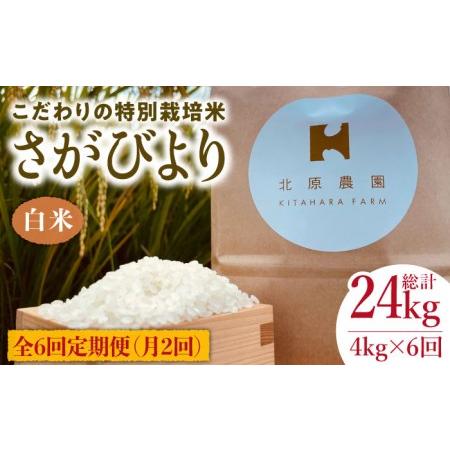 ふるさと納税 特別栽培米 令和5年産 新米 白米 さがびより 4kg特A米 特A評価[HCA014] 佐賀県江北町