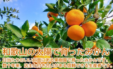 南国和歌山の完熟みかん5kg《先行予約》