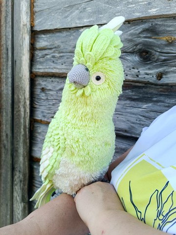 白色浅绿色填充动物鹦鹉钩编玩具家居装饰和礼物
