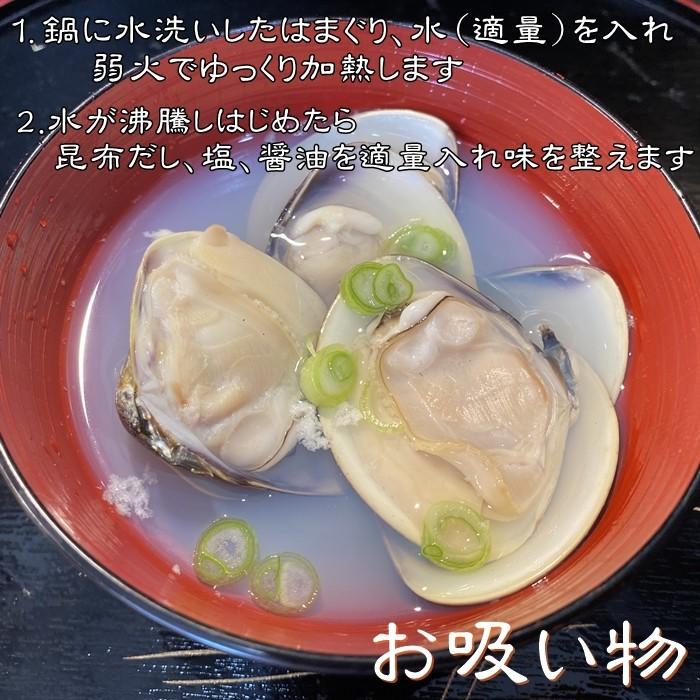 天然貝の６種 〜ご自宅で本格おつまみセット〜 (愛知県産）送料無料