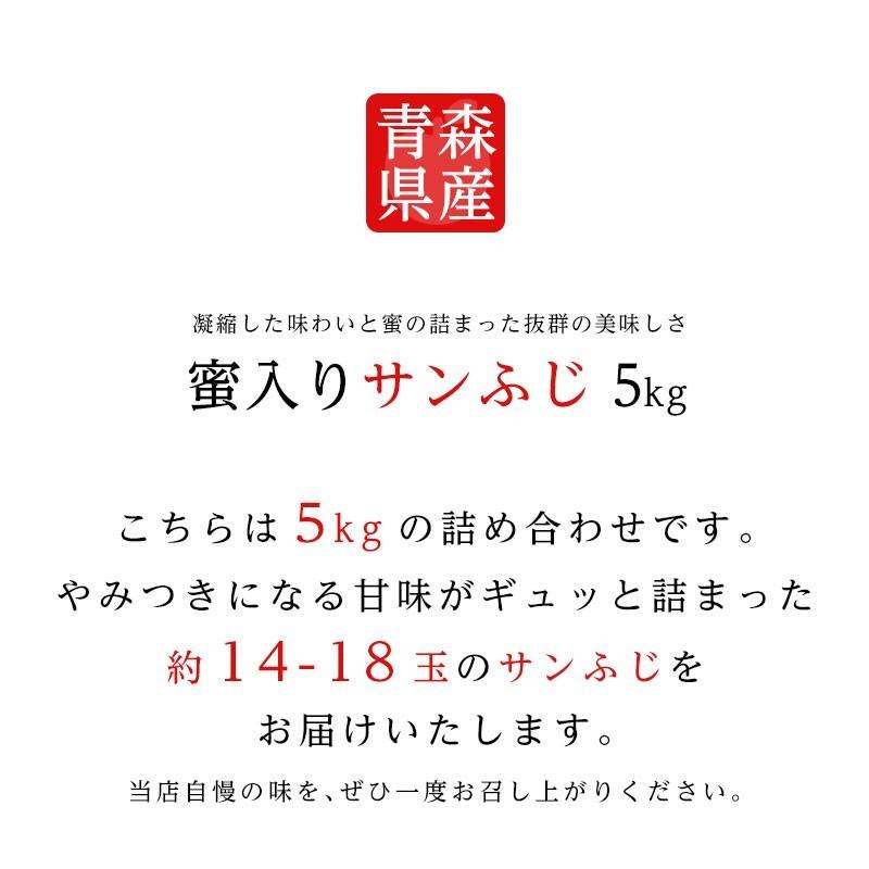 送料無料 青森県産蜜入りサンふじ14-18玉 約5kg りんご 5kg 蜜入りりんご 蜜りんご