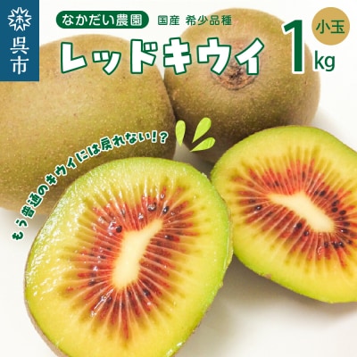 希少品種「 レッドキウイ 」国産 約1kg