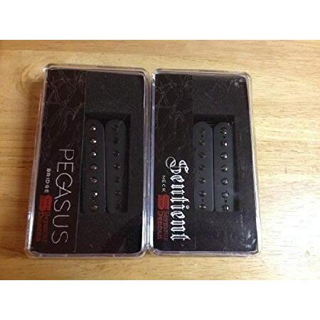 Seymour Duncan Pegasus ＆ Sentient 7弦セット カバーされていないブラックギターピックアップセット 並行輸入品