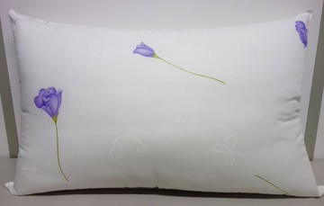 【蓓舒眠】健康防螨抗菌枕2入