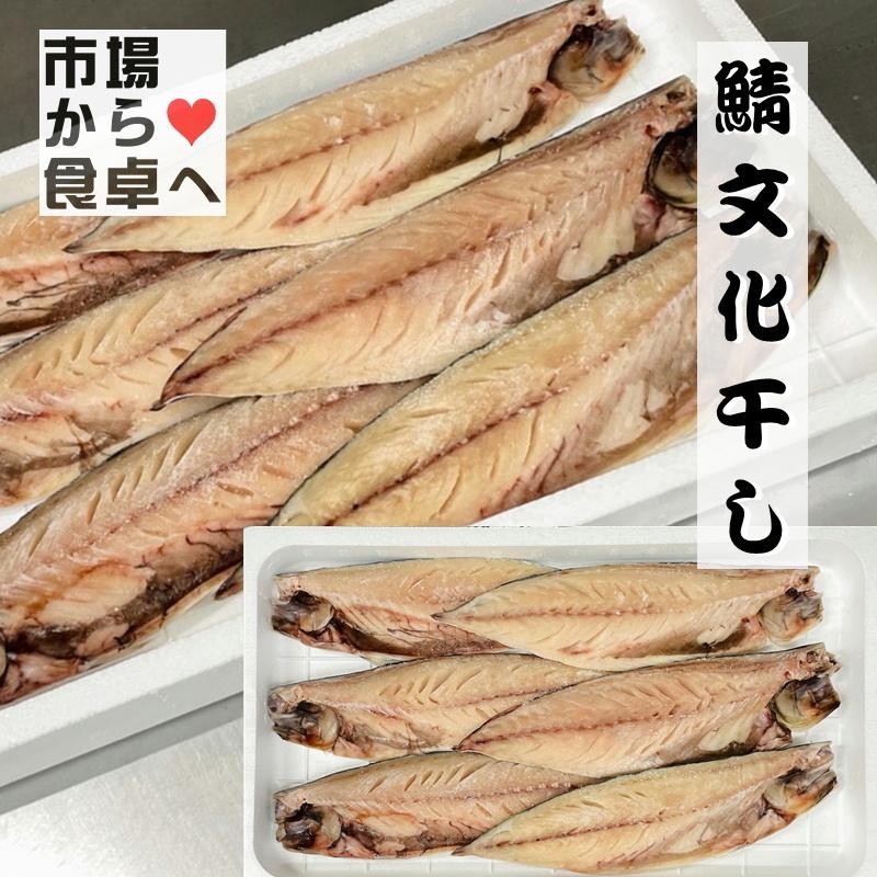 さば文化干し 鯖の干物 6枚(特大サイズ1枚当たり約170g)脂のっています