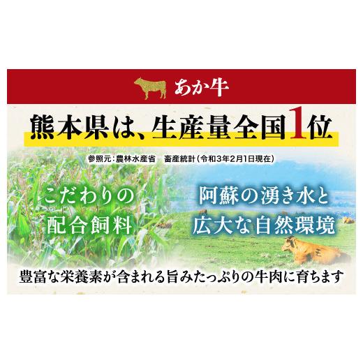 ふるさと納税 熊本県 人吉市 熊本県産 あか牛 モモステーキ 合計500g(250g×2パック) 和牛 牛肉