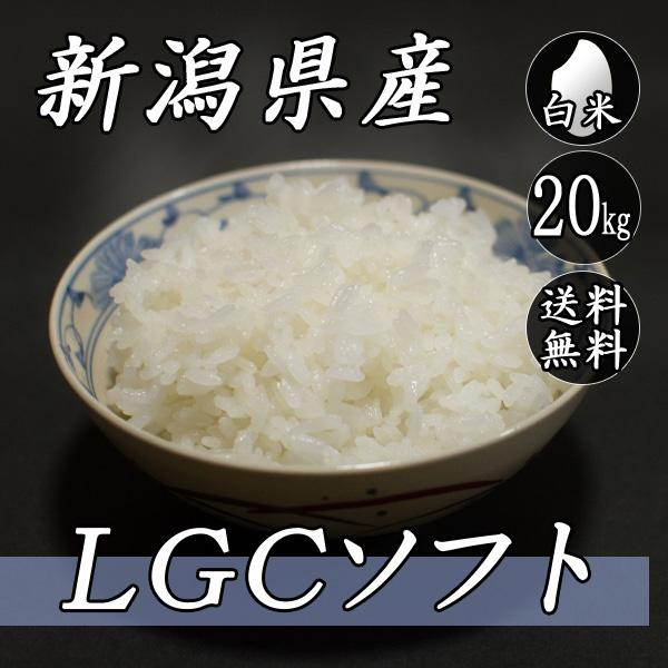 お米 20kg 新潟産 LGCソフト 5kg×4袋 送料無料 令和5年産 米 白米