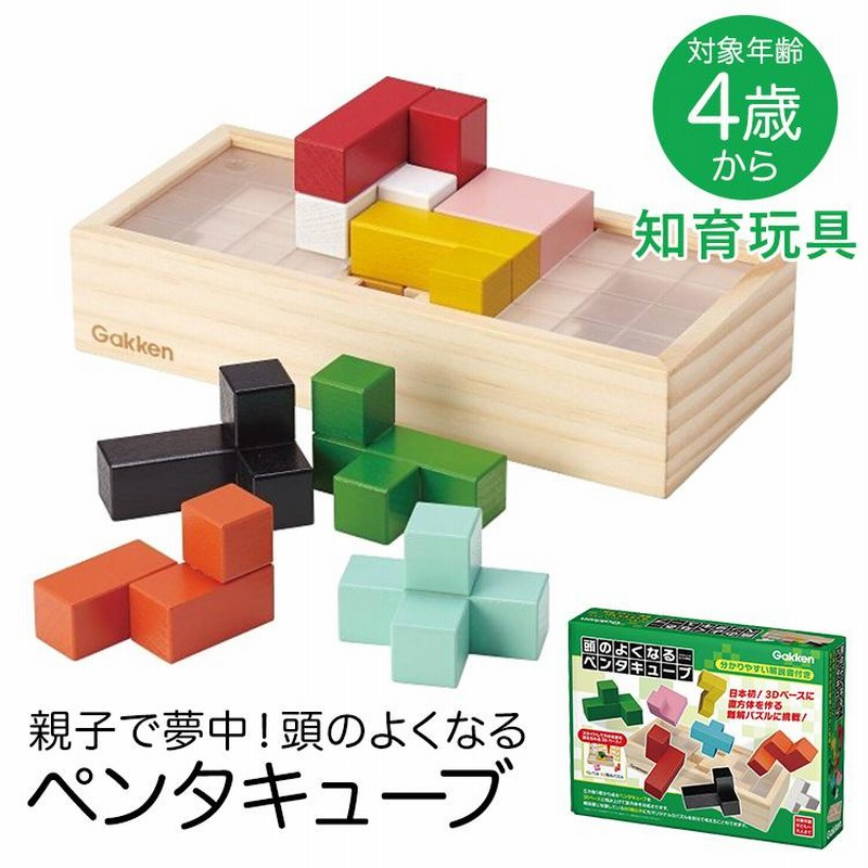 学研 頭のよくなるペンタキューブ 知育玩具 4歳 5歳 6歳 パズル