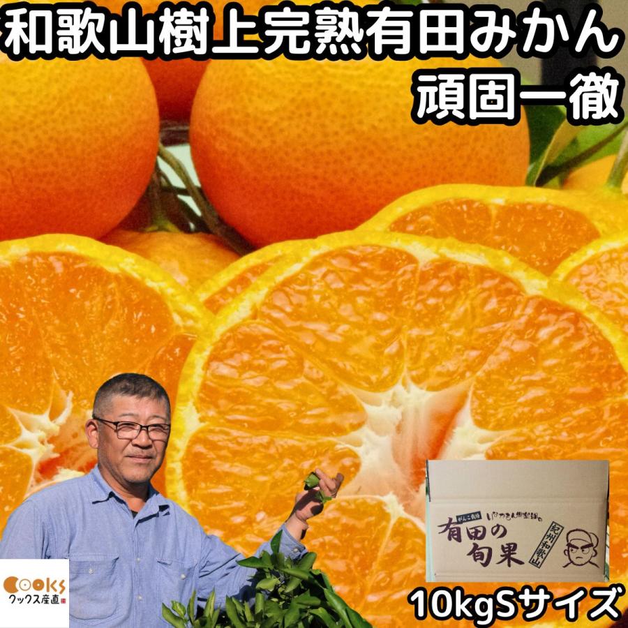 みかん 有田 小玉 甘い 糖度 和歌山 生勇農園 樹上完熟 早生 10kg Sサイズ お歳暮 贈答用 ギフト 農家直送