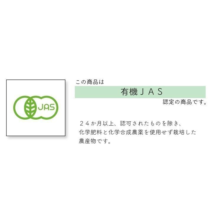 有機みかん　神奈川県産　温州みかん５ｋｇ　優品　家庭用　送料無料　数量限定品