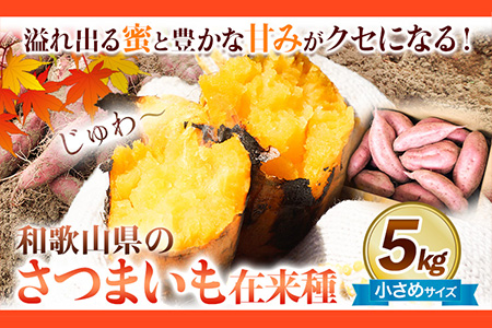 和歌山県のサツマイモ 在来種 小さめサイズ 5kg《12月中旬‐4月下旬頃より順次出荷》和歌山県 日高川町 みはらファーム さつま芋 薩摩芋---wshg_mssi_b124_22_11000_5kg---