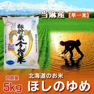 米 北海道産米 送料無料 お米 北海道米 ほしのゆめ 米 5kg 米 5キロ 当麻米
