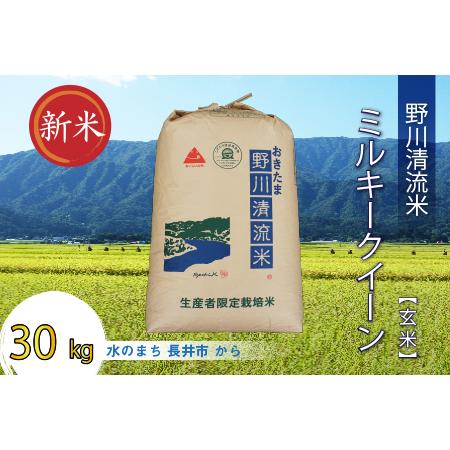 ふるさと納税 野川清流米「ミルキークイーン」30kg(30kg×1袋)_A091(R5) 山形県長井市