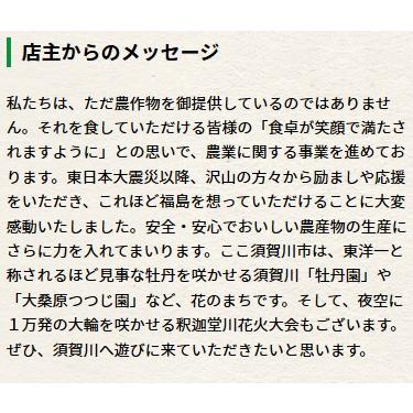 令和４年　福島県中通り産　こしひかり　白米５ｋｇ／精米５kg