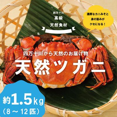 ふるさと納税 四万十市 高級天然食材!四万十川の天然ツガニ 約1.5kg(8〜12匹) R5