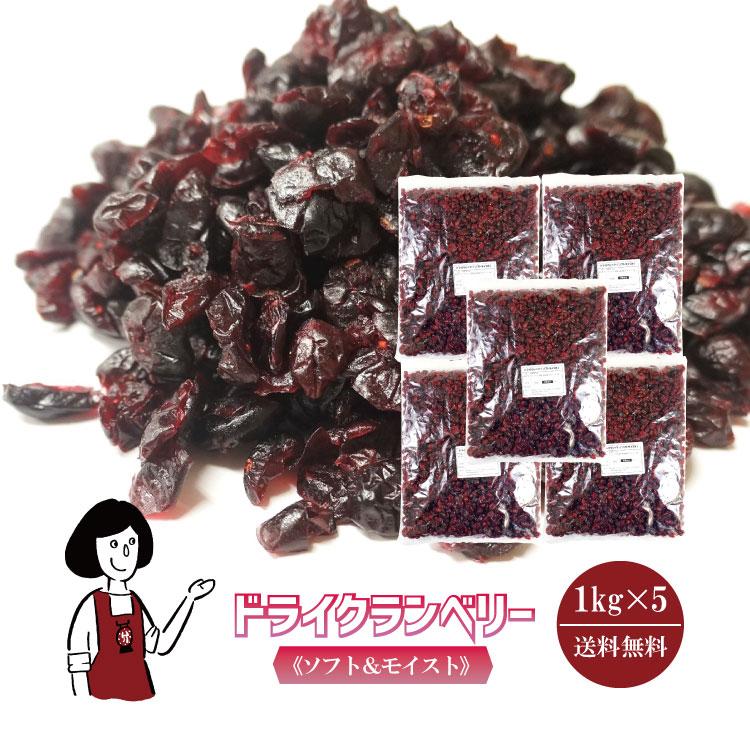 ドライクランベリー 1kg×5袋 計5kg