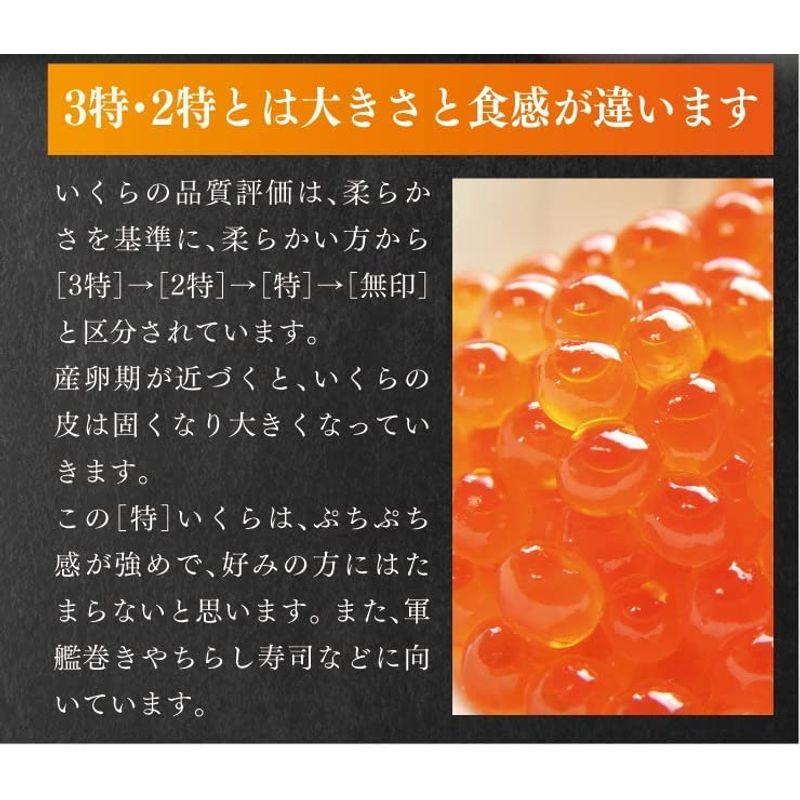 越戸商店｜塩いくら 塩いくら 3特 500g 岩手県 北三陸直送 産地直送でお届け無添加