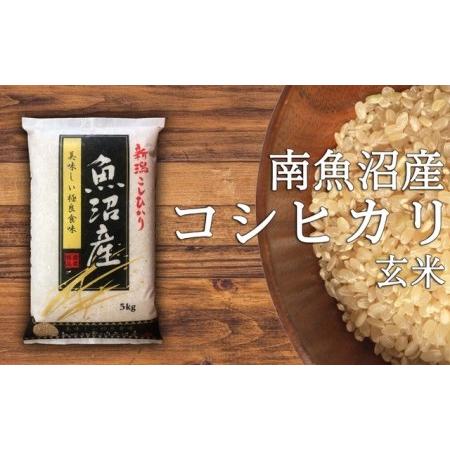 ふるさと納税 令和5年産 南魚沼産コシヒカリ玄米10kg(5kg2袋) 新潟県南魚沼市